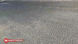 شوخی آیدین زواری با دوستان  قس...