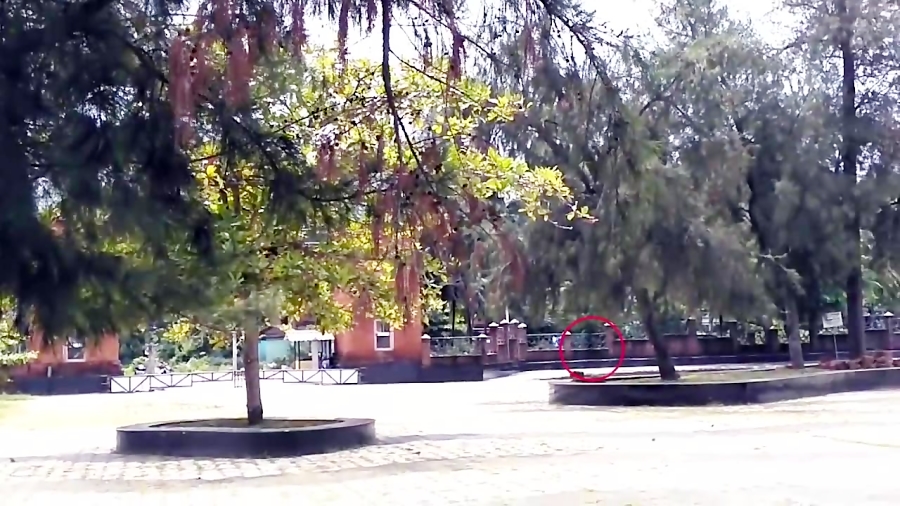 Scary Videos | Ghost caught on...