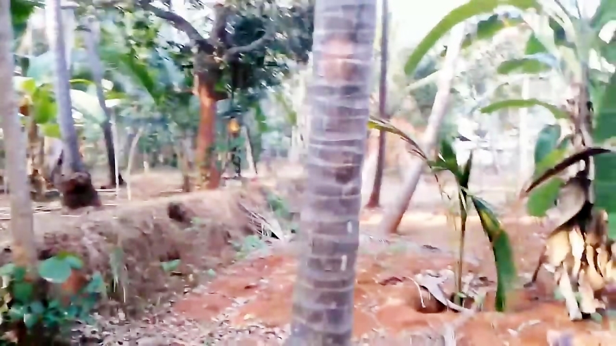 Scary Ghost Sightings | Ghostl...