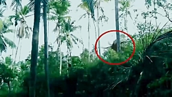 Man& 039;s spirit & 039;caught...