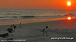 شعرخوانی دکلمه غزل ساحل دریا ن...