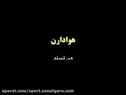 هواداران دورتموند