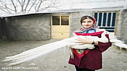 دانلود فول آلبوم مهراد جم