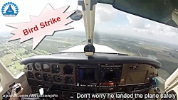 برخورد هواپیما با پرنده