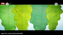 برنامه کودک و خردسال 24 بهمن