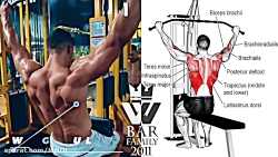 بهترین تمرین های بدنسازی