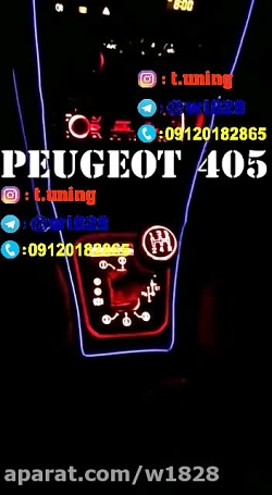 قاب دنده پژو 405 (اصلی)