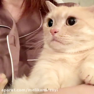 funny video 90