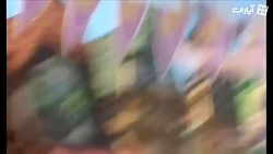 عروسی گیسوکمند  Tangled Ever A...