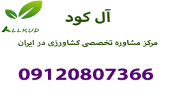 پلت مرغی ، تاثیر ریز مغذی ها بر روی گندم در خوزستان
