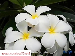 آهنگ روز مادر ترانه مادر روز م...