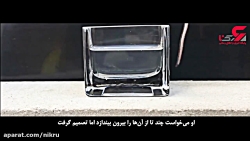 بلایی که بر سر موش در معده مار...