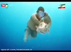 کارتون سینمایی غذای دریایی