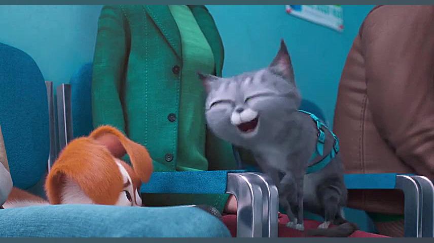 انیمیشن زندگی مخفی حیوانات خانگی۲ - با دوبله فارسی - The Secret Life of Pets 2 2 زمان5163ثانیه