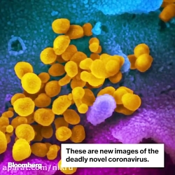 ویروس کرونا را ببینید