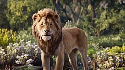 انیمیشن شیرشاه ۲۰۱۹  دوبله فار...