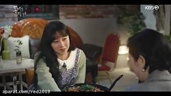 When the Camellia Blooms 2019...