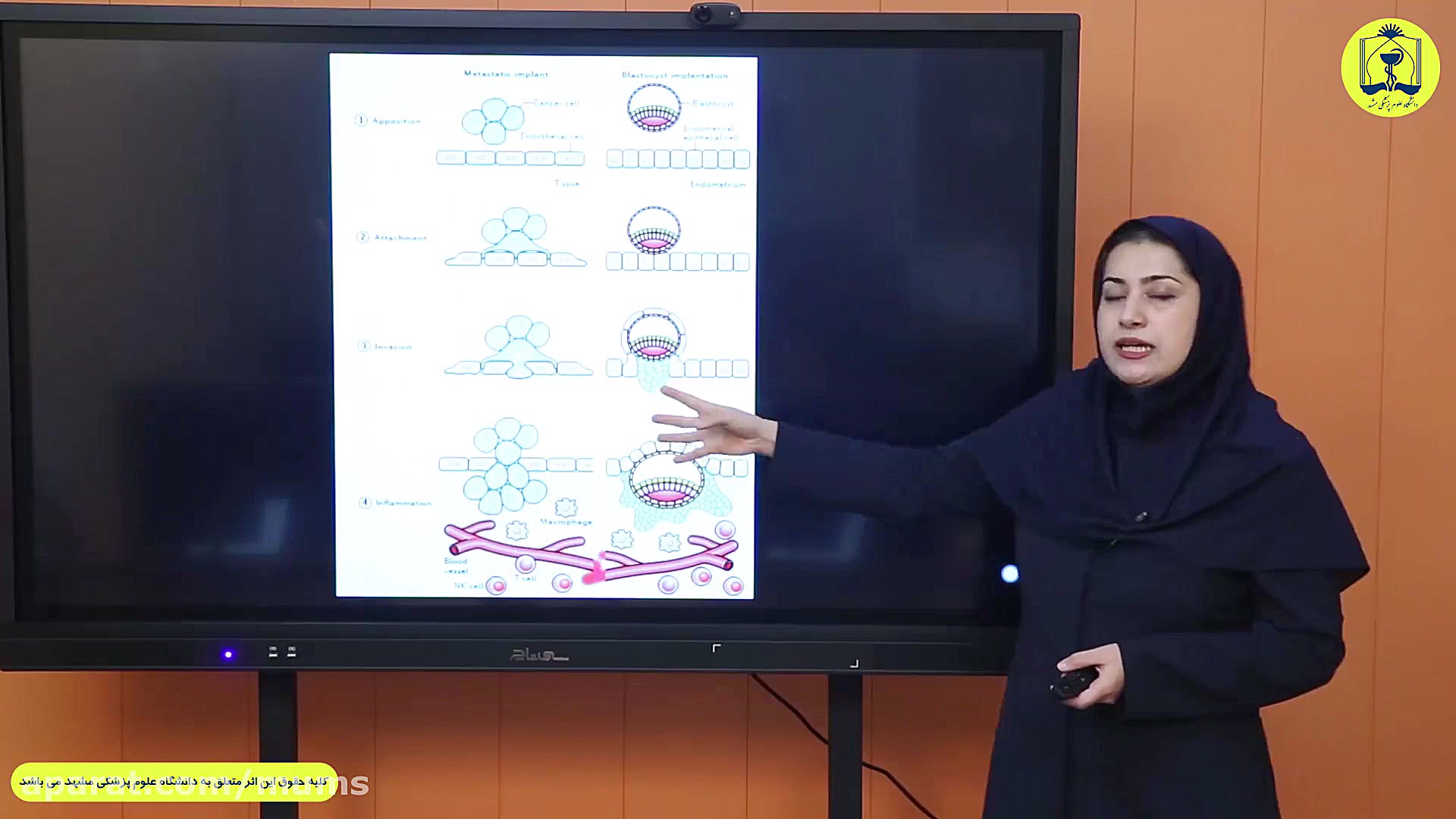 معرفی درس ایمونولوژی بارداری ترمیم زیبایی دندان