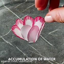 ايده هاي جالب و خلاقانه