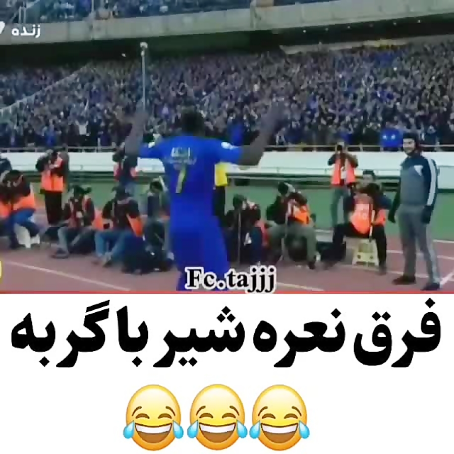 فرق نعره شیر و گربه