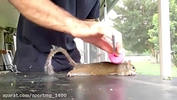 ویدیوی آموزشی طرز تهیه پنکیک س...