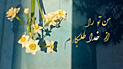 کلیپ کوتاه عاشقانه امام زمان ❤