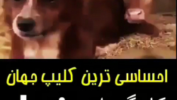 احساسی ترین کلیپ خدا