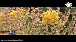 ترانه زیبای &quot; لبخند مادر...