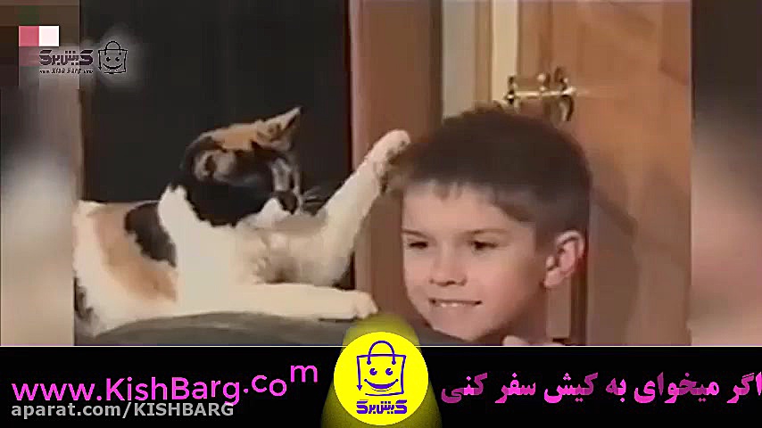 پوستر بزرگ