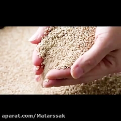 کنجد را بهتر بشناسید