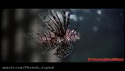 دانلود فیلم | بازی مرگ | بروسل...