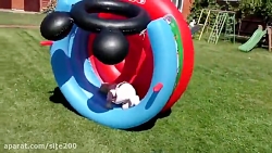 بازی دیانا و روما... ماجراجویی...