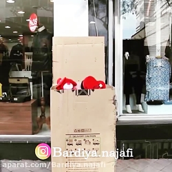 دوربین مخفی