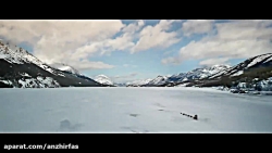 Il richiamo della foresta vede...