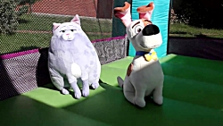 بازی دیانا و روما... سرسره باز...