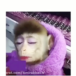 اگه رفیق به این خوشگلی داری بف...