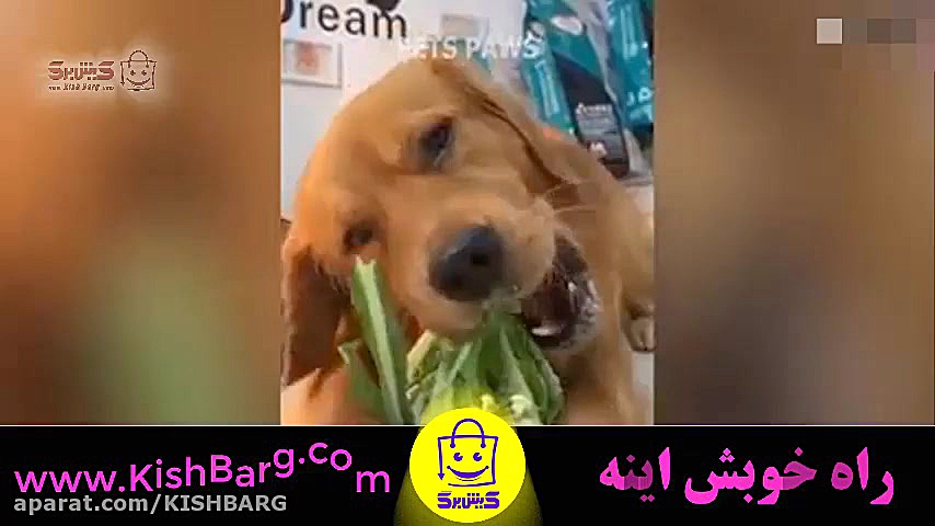 پوستر بزرگ