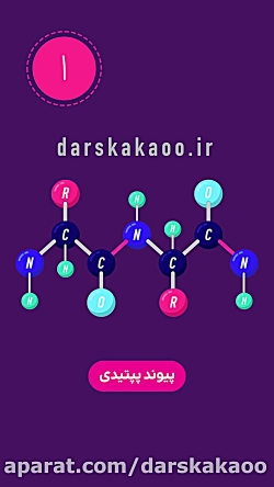 ساختار پروتئين‌ها