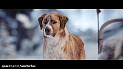 L'Appel de la forêt Streaming...
