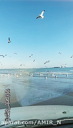 کلیپ عاشقانه_آهنگ عاشقانه... ب...