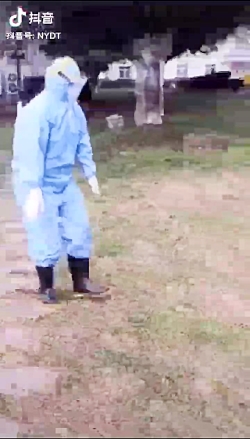 ویروس کرونا