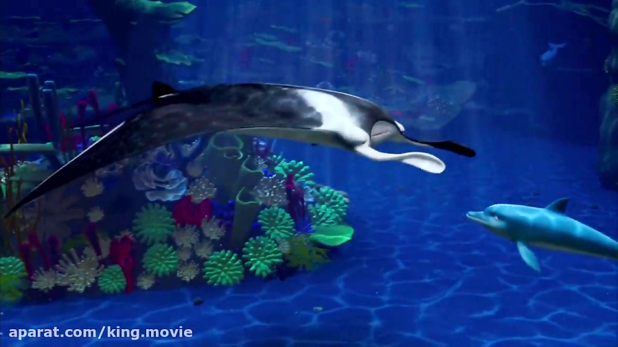 انیمیشن سینمایی (دلفین) دوبله فارسی زمان5263ثانیه