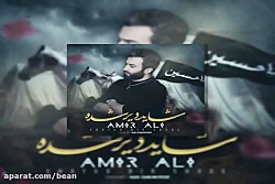 امیر علی شاید دیر شده