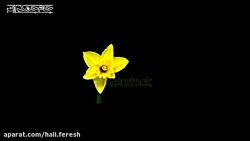 کلیپ کوتاه عاشقانه درباره ظهور...