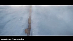 Il richiamo della foresta film...