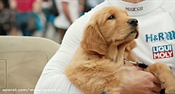 دانلود دوبله فارسی فیلم هنر مس...