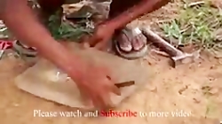 آموزش ساخت تله برای پرنده (باح...