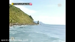 مستند فارسی حیات وحش