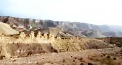 حیات وحش ایران