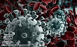 توضیحاتی جامع درباره ویروس کرو...